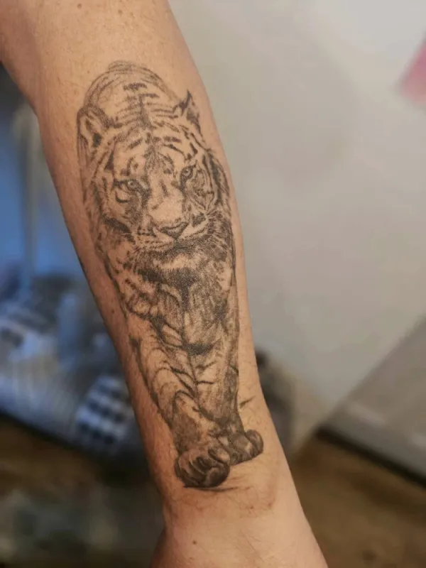 Création de tatouage, Givet, Kalygrafink